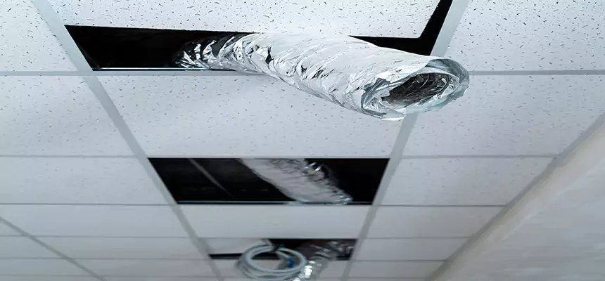 Affordable HVAC Sanitizing After Pest Removal in Grove City