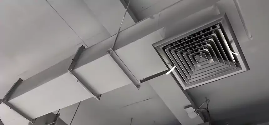 Our Pest Removal From Ducts Services in Grove City, OH