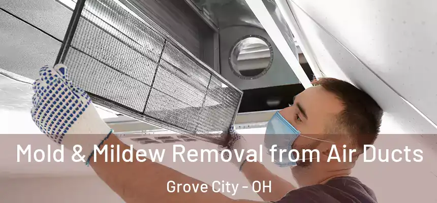  Mold & Mildew Removal from Air Ducts Grove City - OH