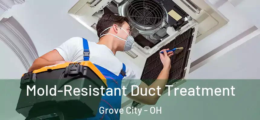  Mold-Resistant Duct Treatment Grove City - OH