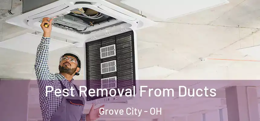  Pest Removal From Ducts Grove City - OH