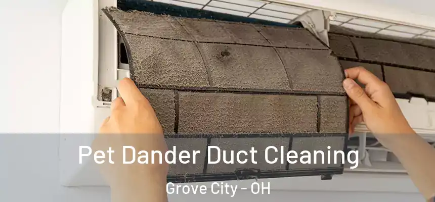  Pet Dander Duct Cleaning Grove City - OH