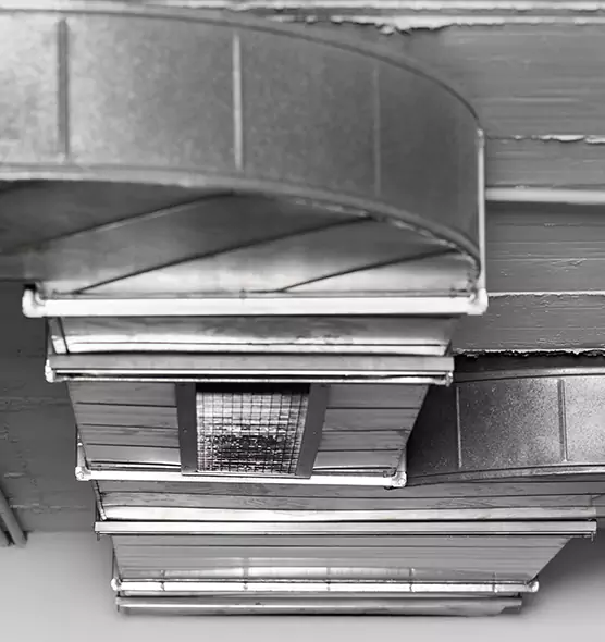 Professional Air Duct Pest Removal in Grove City, OH