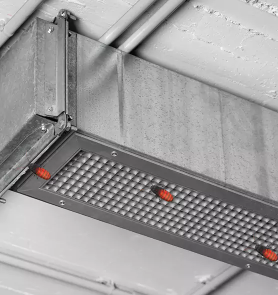 Affordable Insect Removal from Air Ducts in Grove City, OH